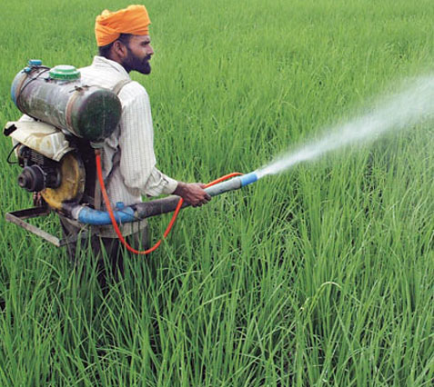 Pesticides and their Use